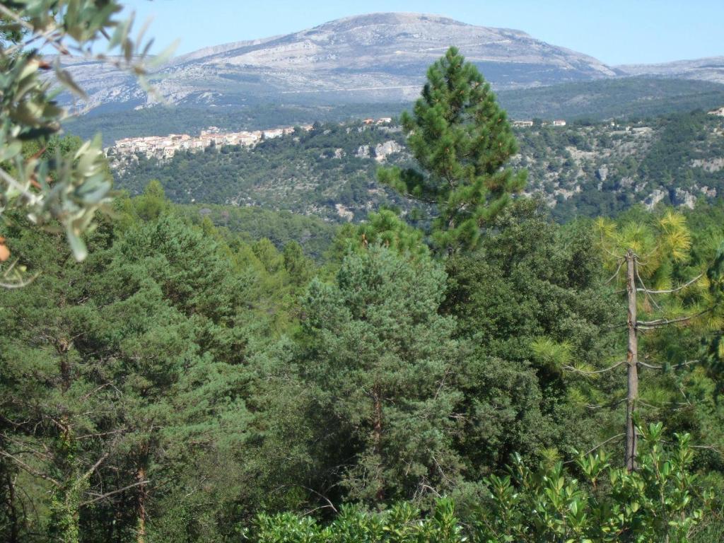 Villa Verdi Montauroux Dış mekan fotoğraf